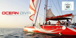 Ocean Diva Catamaran