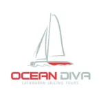 Ocean Diva Catamaran