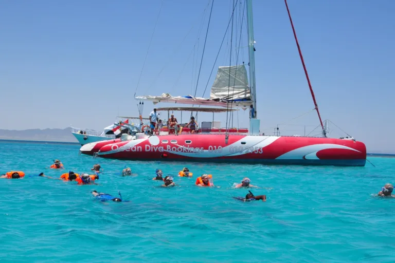 Ocean Diva Catamaran
