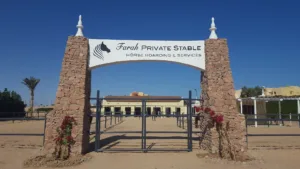 Farah Private Stable El Gouna Cover