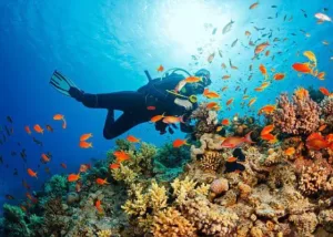 Dive Trek Divecenter 2