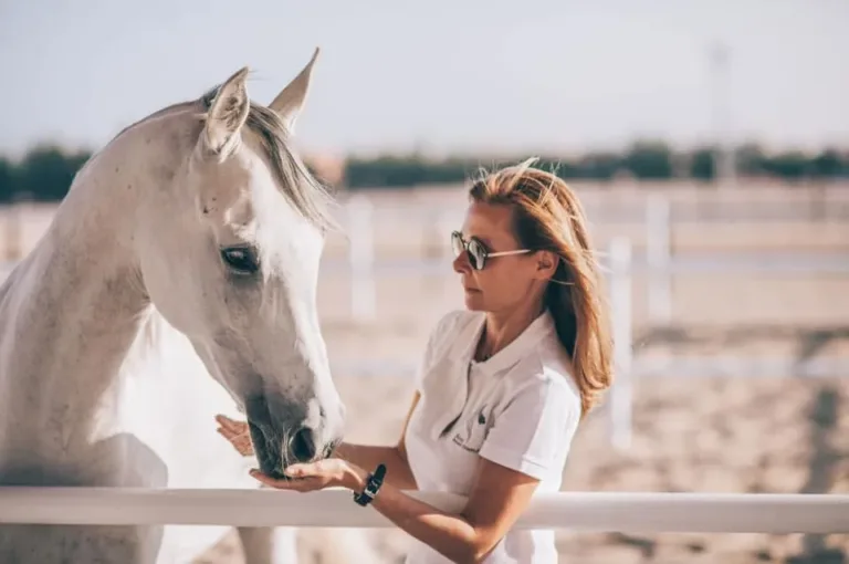 Farah Horse Stable 1