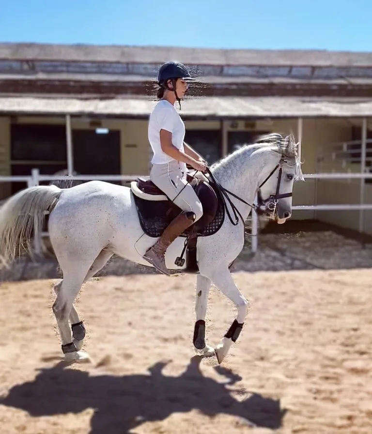 Farah Horse Stable 5
