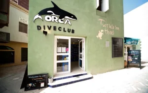 Orca Dive Club 1