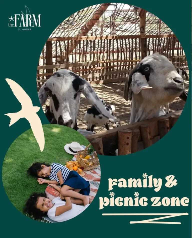 The Grand Opening El Gouna Fish Farm